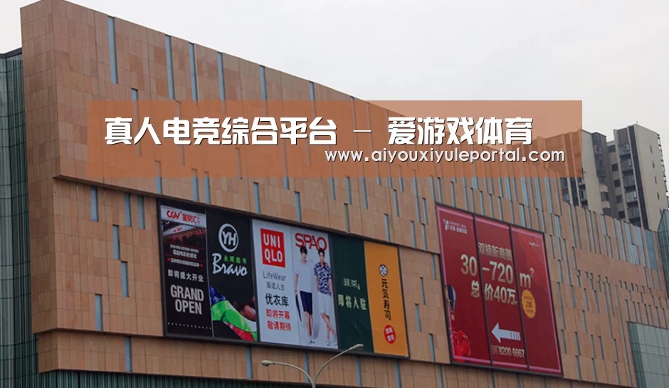 龙湖 · 金楠天街(图1)