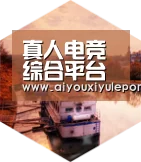 爱游戏娱乐中德合璧 实力可鉴