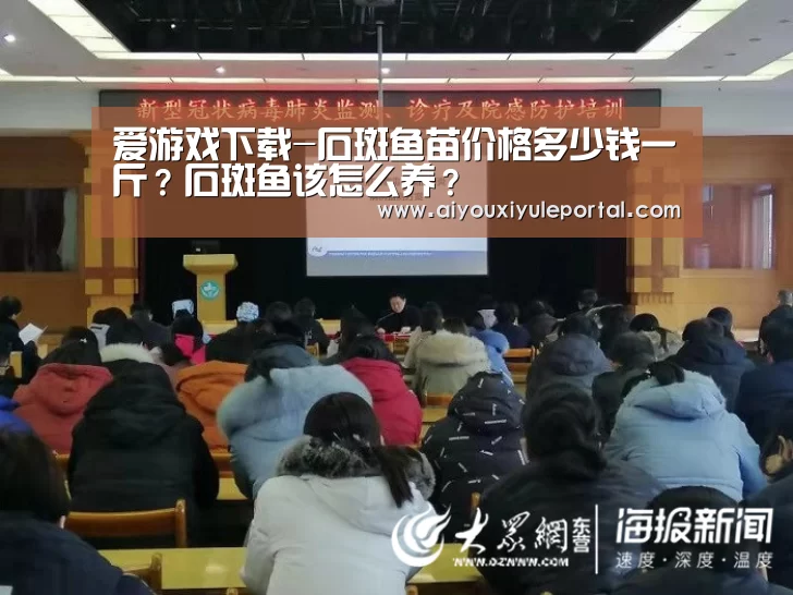 爱游戏下载-石斑鱼苗价格多少钱一斤？石斑鱼该怎么养？