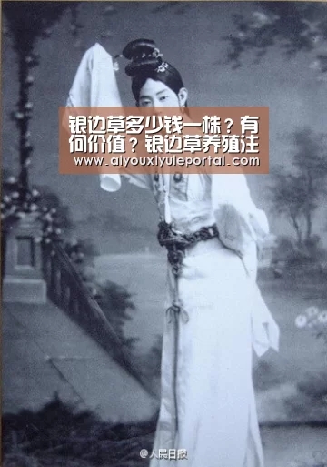 爱游戏下载