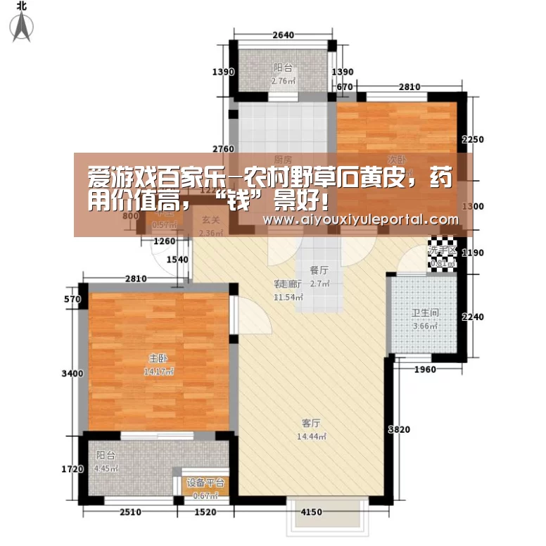 爱游戏百家乐-农村野草石黄皮，药用价值高，“钱”景好！