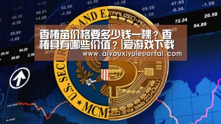香椿苗价格要多少钱一棵？香椿具有哪些价值？|爱游戏下载