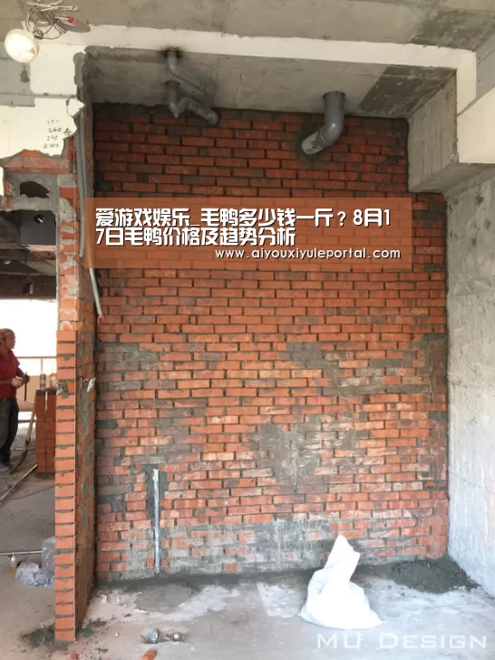爱游戏娱乐_毛鸭多少钱一斤？8月17日毛鸭价格及趋势分析