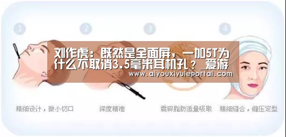 刘作虎：既然是全面屏，一加5T为什么不取消3.5毫米耳机孔？_爱游戏真人