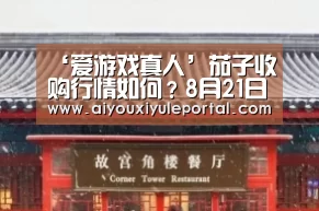 ‘爱游戏真人’茄子收购行情如何？8月21日茄子主产区收购行情
