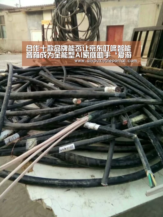合作十款品牌能否让京东叮咚智能音箱成为全能型AI家庭助手‘爱游戏真人’(图2) 爱游戏娱乐