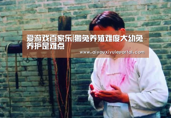 爱游戏百家乐|獭兔养殖难度大幼兔养护是难点