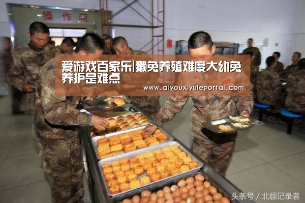 爱游戏娱乐