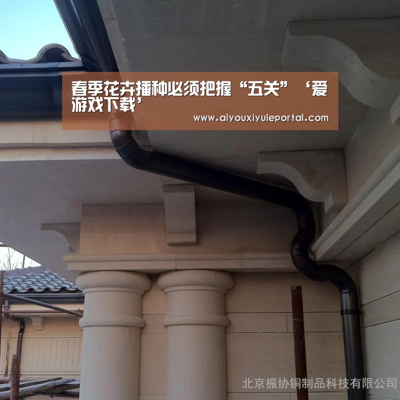 爱游戏下载