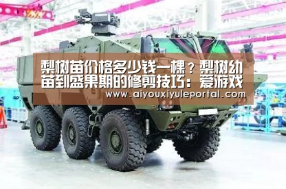 爱游戏真人