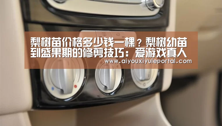 爱游戏真人