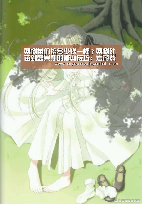 梨树苗价格多少钱一棵？梨树幼苗到盛果期的修剪技巧：爱游戏真人
