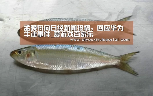 孟晚舟向日经新闻投稿，回应华为牛津事件_爱游戏百家乐